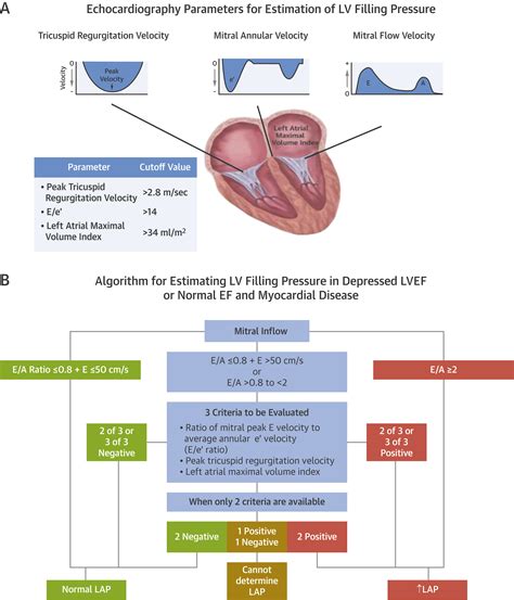 Left Ventricular Diastolic Dysfunction: Diagnostic and Prognostic 